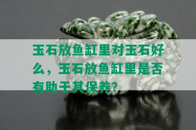 玉石放鱼缸里对玉石好么，玉石放鱼缸里是否有助于其保养？