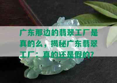 广东那边的翡翠工厂是真的么，揭秘广东翡翠工厂：真的还是假的？