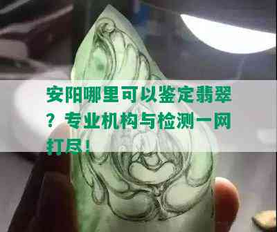 安阳哪里可以鉴定翡翠？专业机构与检测一网打尽！