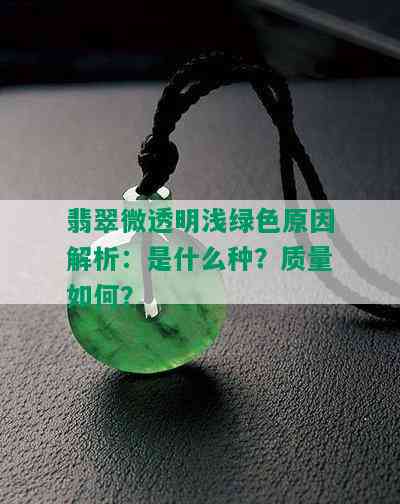 翡翠微透明浅绿色原因解析：是什么种？质量如何？