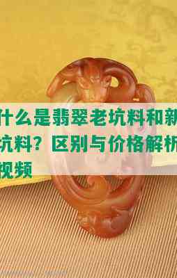 什么是翡翠老坑料和新坑料？区别与价格解析视频