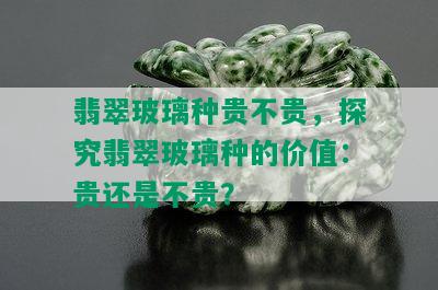 翡翠玻璃种贵不贵，探究翡翠玻璃种的价值：贵还是不贵？