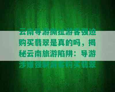 云南导游撕扯游客强迫购买翡翠是真的吗，揭秘云南旅游陷阱：导游涉嫌强制游客购买翡翠