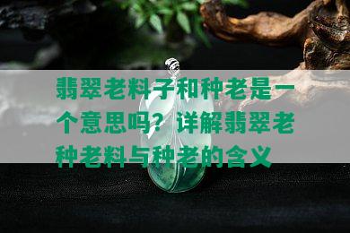 翡翠老料子和种老是一个意思吗？详解翡翠老种老料与种老的含义