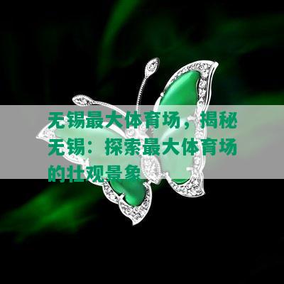 无锡更大体育场，揭秘无锡：探索更大体育场的壮观景象