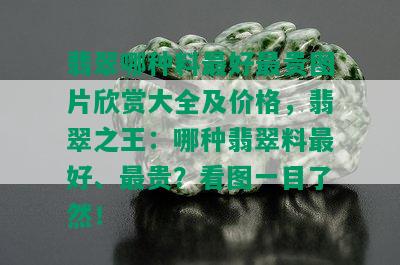 翡翠哪种料更好最贵图片欣赏大全及价格，翡翠之王：哪种翡翠料更好、最贵？看图一目了然！