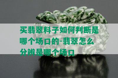 买翡翠料子如何判断是哪个场口的-翡翠怎么分辨是哪个场口