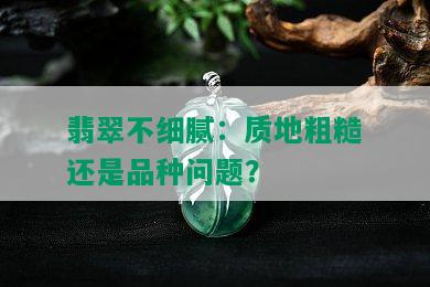 翡翠不细腻：质地粗糙还是品种问题？