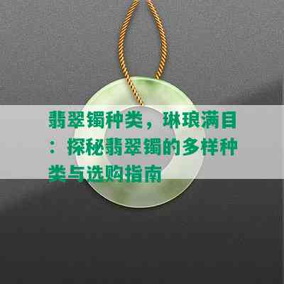 翡翠镯种类，琳琅满目：探秘翡翠镯的多样种类与选购指南