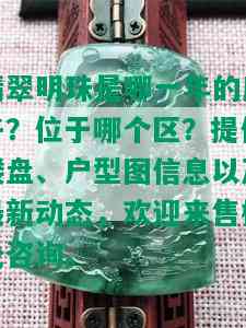 翡翠明珠是哪一年的房子？位于哪个区？提供楼盘、户型图信息以及最新动态，欢迎来售楼处咨询。