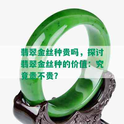 翡翠金丝种贵吗，探讨翡翠金丝种的价值：究竟贵不贵？