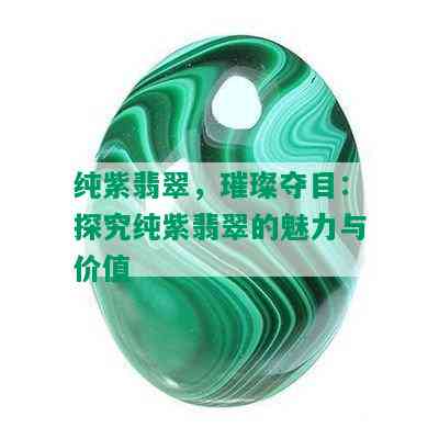 纯紫翡翠，璀璨夺目：探究纯紫翡翠的魅力与价值