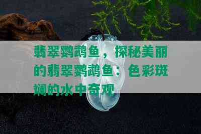 翡翠鹦鹉鱼，探秘美丽的翡翠鹦鹉鱼：色彩斑斓的水中奇观