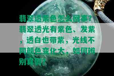 翡翠透紫色怎么回事？翡翠透光有紫色、发紫，透白也带紫，光线不同颜色变化大，如何辨别真假？