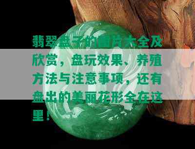 翡翠盘子的图片大全及欣赏，盘玩效果、养殖方法与注意事项，还有盘出的美丽花形全在这里！