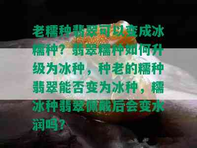 老糯种翡翠可以变成冰糯种？翡翠糯种如何升级为冰种，种老的糯种翡翠能否变为冰种，糯冰种翡翠佩戴后会变水润吗？