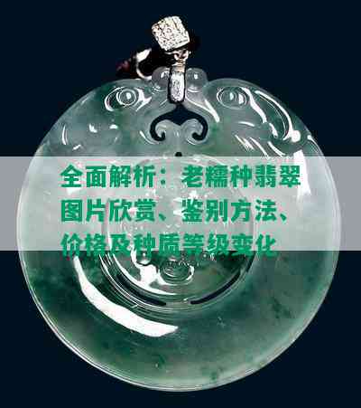 全面解析：老糯种翡翠图片欣赏、鉴别方法、价格及种质等级变化