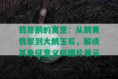 翡翠鹅的寓意：从鹅黄翡翠到大鹅玉石，解读其象征意义和图片展示