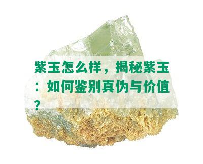 紫玉怎么样，揭秘紫玉：如何鉴别真伪与价值？