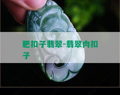 肥扣子翡翠-翡翠肉扣子