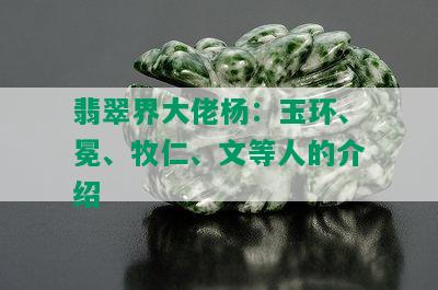 翡翠界大佬杨：玉环、冕、牧仁、文等人的介绍