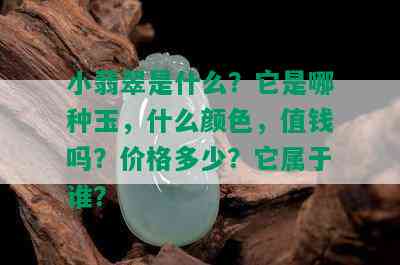 小翡翠是什么？它是哪种玉，什么颜色，值钱吗？价格多少？它属于谁？