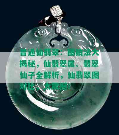 普通仙翡翠：图拍法大揭秘，仙翡翠属、翡翠仙子全解析，仙翡翠图对比，太震撼！