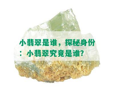 小翡翠是谁，探秘身份：小翡翠究竟是谁？