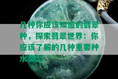 几种你应该知道的翡翠种，探索翡翠世界：你应该了解的几种重要种水类型