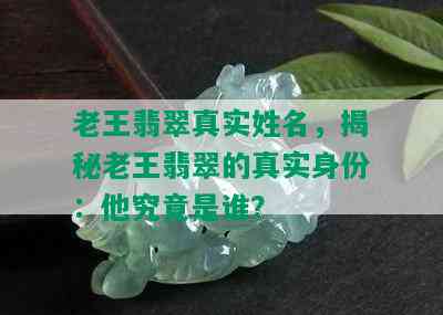 老王翡翠真实姓名，揭秘老王翡翠的真实身份：他究竟是谁？