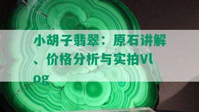 小胡子翡翠：原石讲解、价格分析与实拍Vlog