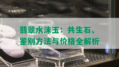 翡翠水沫玉：共生石、鉴别方法与价格全解析