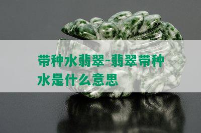 带种水翡翠-翡翠带种水是什么意思