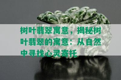 树叶翡翠寓意，揭秘树叶翡翠的寓意：从自然中寻找心灵寄托