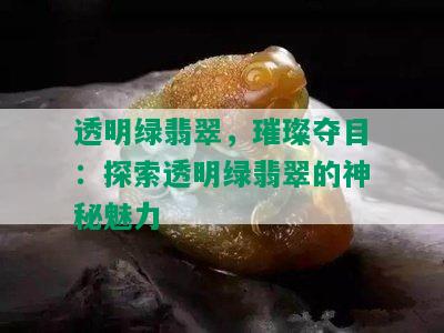 透明绿翡翠，璀璨夺目：探索透明绿翡翠的神秘魅力