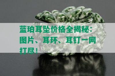 蓝珀耳坠价格全揭秘：图片、耳环、耳钉一网打尽！