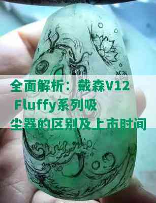 全面解析：戴森V12 Fluffy系列吸尘器的区别及上市时间