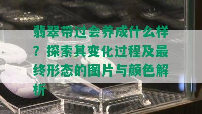 翡翠带过会养成什么样？探索其变化过程及最终形态的图片与颜色解析