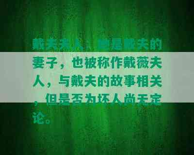 戴夫夫人：她是戴夫的妻子，也被称作戴薇夫人，与戴夫的故事相关，但是否为坏人尚无定论。