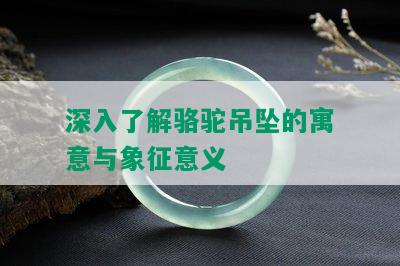 深入了解骆驼吊坠的寓意与象征意义