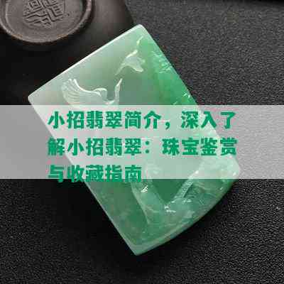 小招翡翠简介，深入了解小招翡翠：珠宝鉴赏与收藏指南