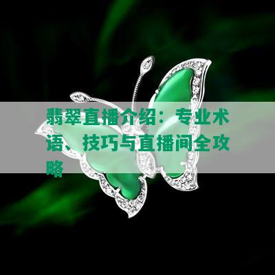 翡翠直播介绍：专业术语、技巧与直播间全攻略