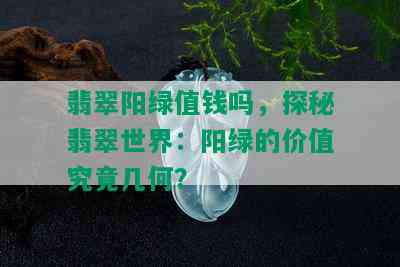 翡翠阳绿值钱吗，探秘翡翠世界：阳绿的价值究竟几何？