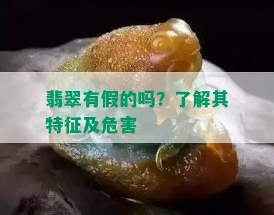 翡翠有假的吗？了解其特征及危害