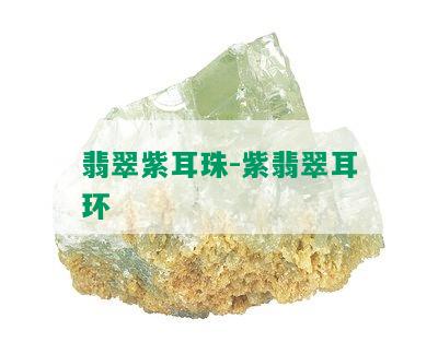 翡翠紫耳珠-紫翡翠耳环