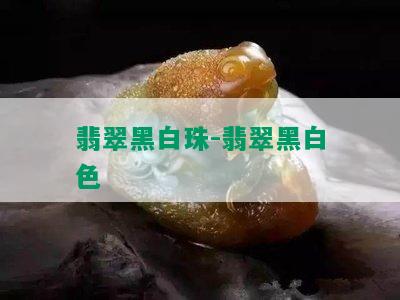 翡翠黑白珠-翡翠黑白色