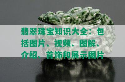 翡翠珠宝知识大全：包括图片、视频、图解、介绍、首饰和展示图片