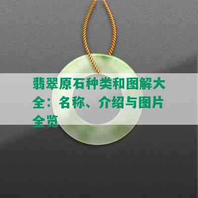 翡翠原石种类和图解大全：名称、介绍与图片全览