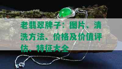 老翡翠牌子：图片、清洗方法、价格及价值评估、特征大全