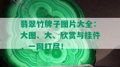 翡翠竹牌子图片大全：大图、大、欣赏与挂件，一网打尽！